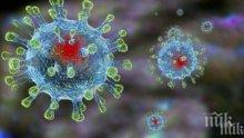 Заразените с коронавирус във Виетнам са излекувани