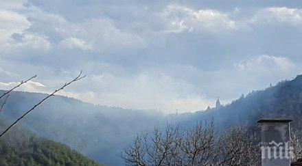 първо пик опасен пожар пламна близост къщи софийско зоват доброволци помагат снимки обновена