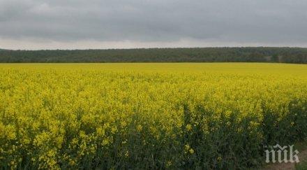 бан избяга докладването натура 2000