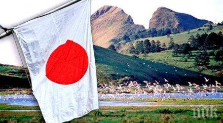 проблеми топлата зима създава главоболия япония