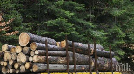 нарушители закона горите хванати седмица северноцентралното държавно предприятие