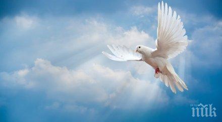 звездите говорят господстват скрити сили сексът активен оригинален