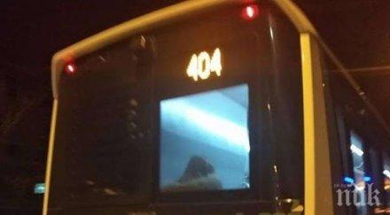 повдигнаха обвинения гамените гаврите момчето автобус 404