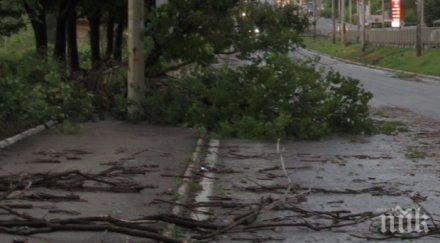 ураган връхлетя русе ламарини счупени клони летят въздуха