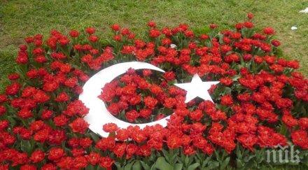 глобяват солено късаме лалета турция