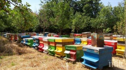 млн лева тръгват пчеларите