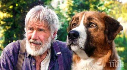 харисън форд разкри тайната хармоничния брак говорете