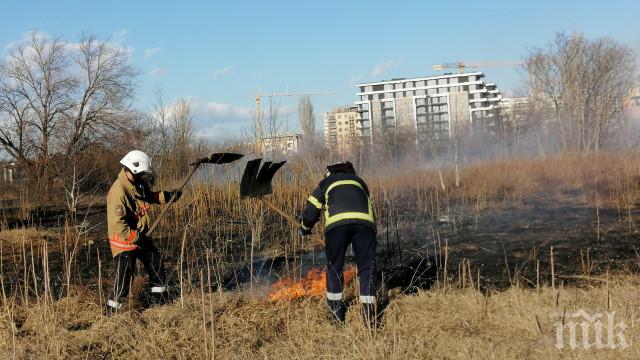 Вятърът запали пожар край автоморги и сервизи в Пловдив (СНИМКИ)