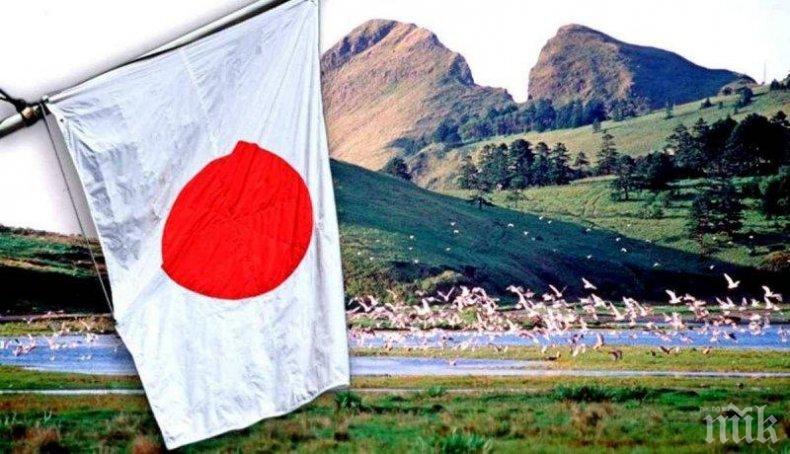 ПРОБЛЕМИ: Топлата зима създава главоболия в Япония