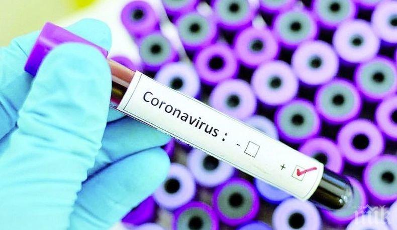 ДОБРА НОВИНА: Франция излекува всички болни от коронавирус