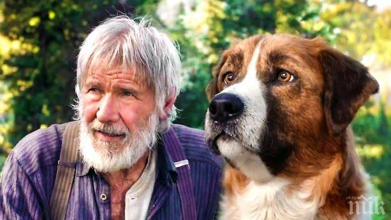 Харисън Форд разкри тайната за хармоничния брак: Не говорете, а само...