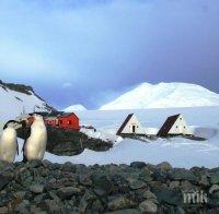 Затоплянето в Антарктида разкри скрит остров