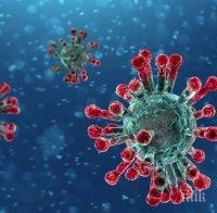 Жертвите на коронавируса в Италия достигнаха 21