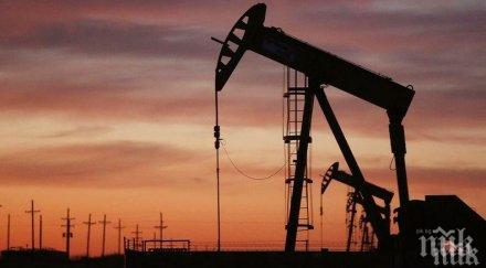 петролът поскъпна около 5355 долара барел