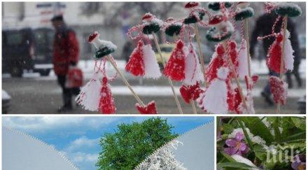 актуална прогноза синоптици разкриха времето март продължава топлата зима баба марта изненада