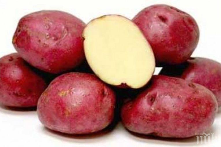 Яжте червени картофи, имат невероятни лечебни свойства