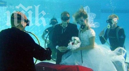 венчавка вода хит слънчев бряг