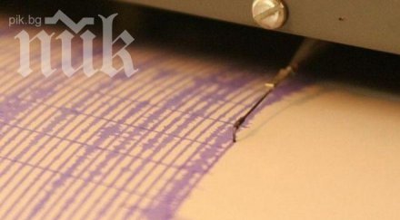 слаб трус пернишко