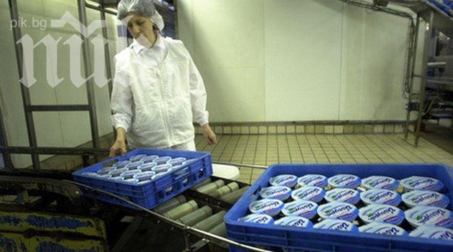 Данон изтегля свои продукти с опасна бактерия