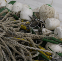 ИАРА с внезапни проверки за незаконен улов на есетрови риби