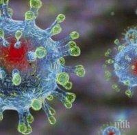Още случаи на коронавирус в Северна Македония и Румъния