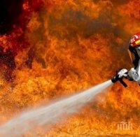 Пожар край Свети Влас, изгорели са 3 декара иглолистна гора
