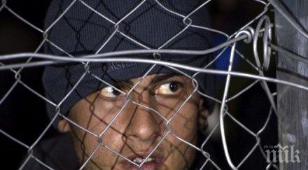 сгащиха двама афганистанци гюргево метнали камион българия