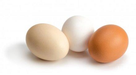 яйцата предпазват болести сърцето