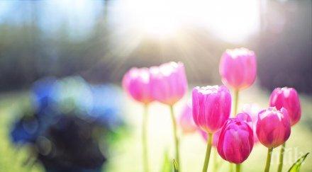 звездите говорят ден отделете време семейството правете секс взаимно съгласие