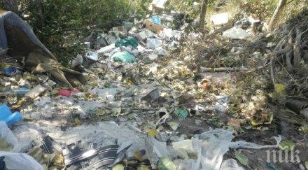 старица превърна дома сметище видео