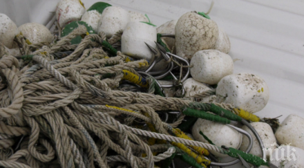 иара внезапни проверки незаконен улов есетрови риби