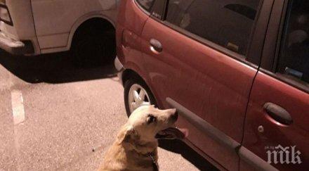 мвр помощник кучето джейк надуши контрабандни цигари дунав мост