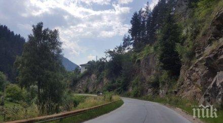 апи влага млнлв опазване дивите животни птиците