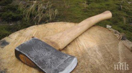 баба потроши черепа мъж брадва