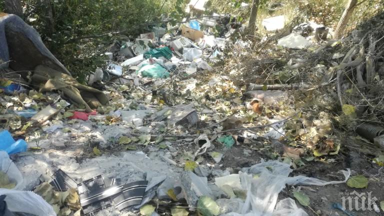 Старица превърна дома си в сметище (ВИДЕО)