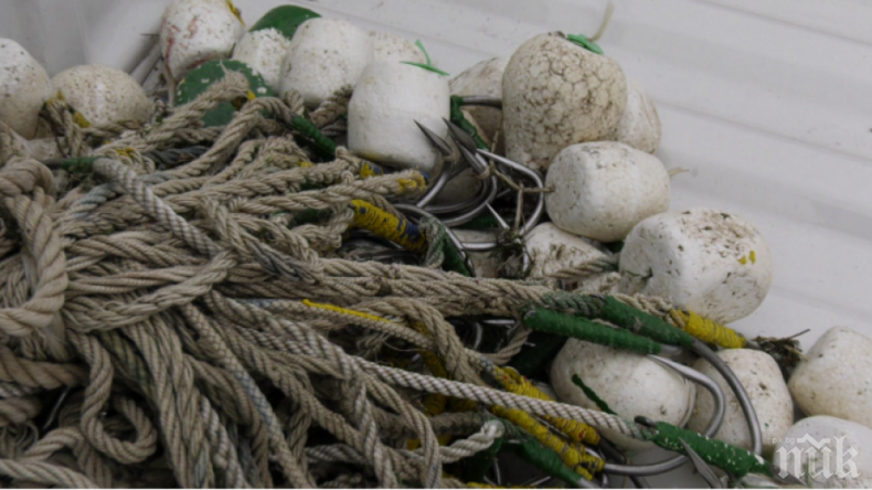 ИАРА с внезапни проверки за незаконен улов на есетрови риби