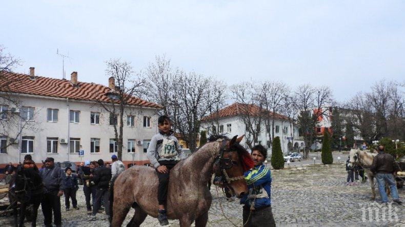 Кула се стяга за кушиите на Тодоровден