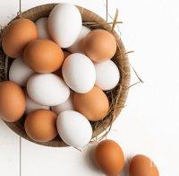 ФЕРМЕРИ ПРИЗОВАВАТ: Купувайте бели яйца