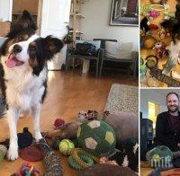 ТАЛАНТ: Куче от Норвегия знае имената на всичките си 90 играчки (ВИДЕО)