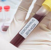 45 от пътниците на круизен кораб в Египет са с коронавирус