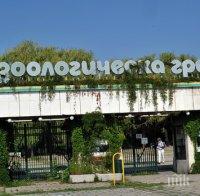 Спират разходките в 