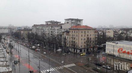 първо пик сняг изненада софиянци часове женския празник баба марта разлюти