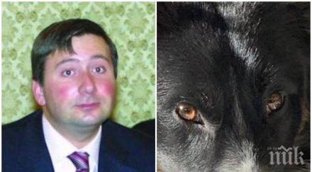 насред коронавируса бтв активирани разследват смъртта кучето прокопиев шляе парка без каишка нахлува частен имот