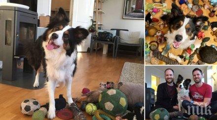 талант куче норвегия знае имената всичките играчки видео