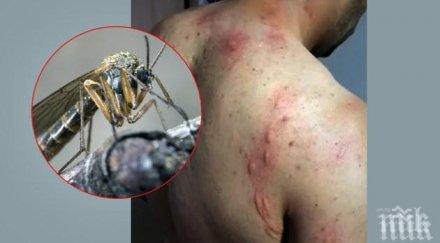 кабинетът отпусна млн лева борба комарите