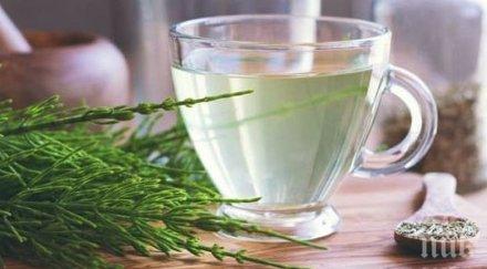 дами вълшебна билка грижи красотата