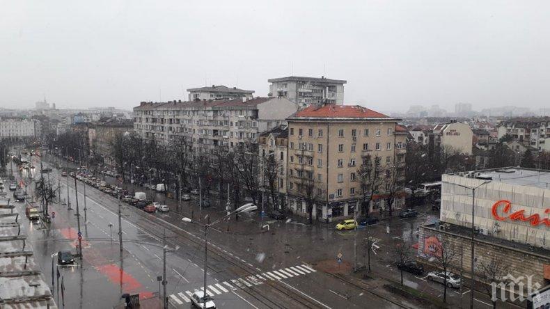 ПЪРВО В ПИК: Сняг изненада софиянци! Часове след женския празник Баба Марта се разлюти 