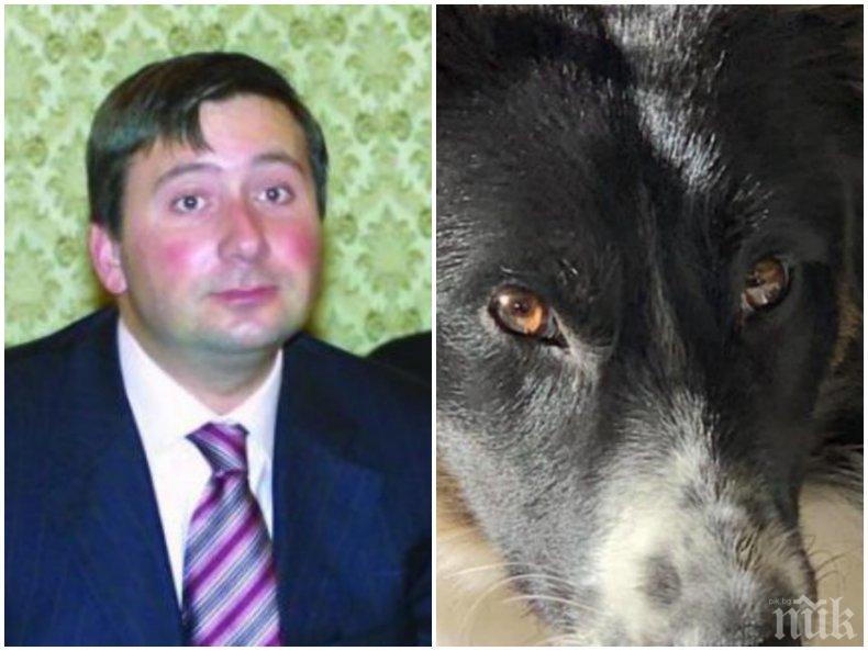 НАСРЕД КОРОНАВИРУСА: БТВ активирани да разследват смъртта на... кучето на Прокопиев. Което се шляе в парка без каишка и нахлува в частен имот...