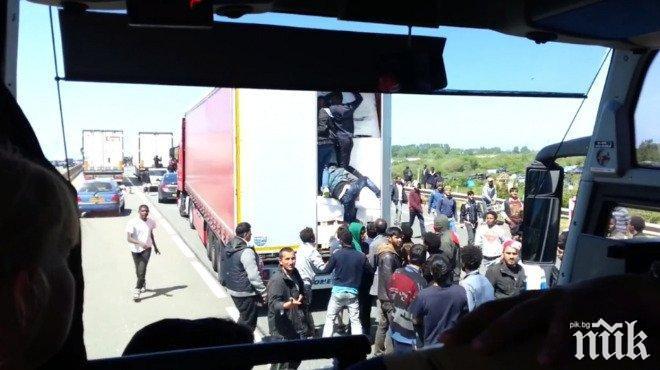 Хванаха 56 мигранти в камион край Гевгелия