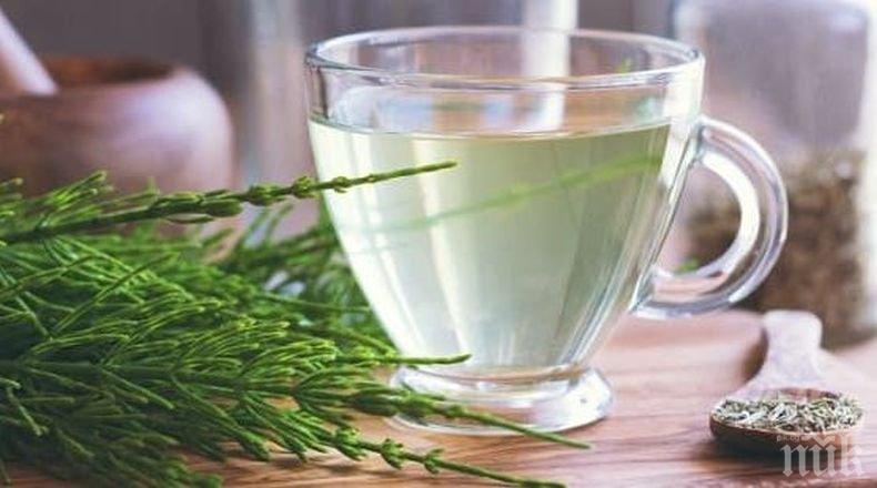 САМО ЗА ДАМИ: Тази вълшебна билка се грижи за красотата